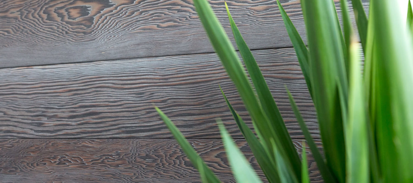Green leaves in front of dark finished wood siding