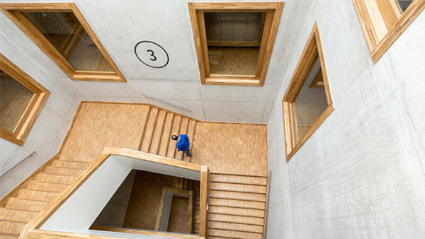 Library with 64,000 ft.² of wood finished with Oil Plus 2C.