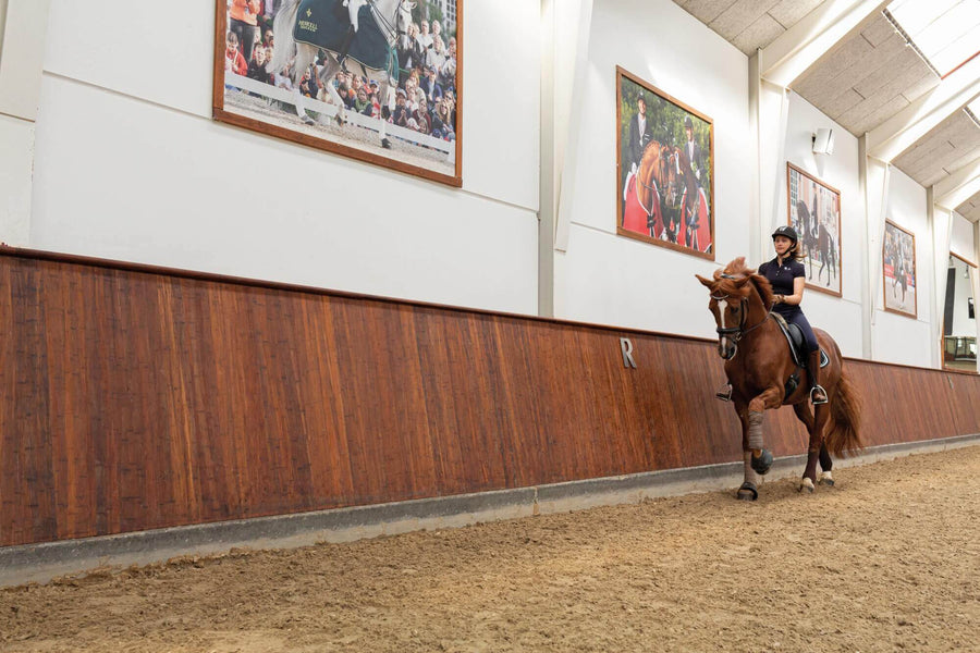 Horse riding barriers in horse arena finished with easy to repair wood finish.