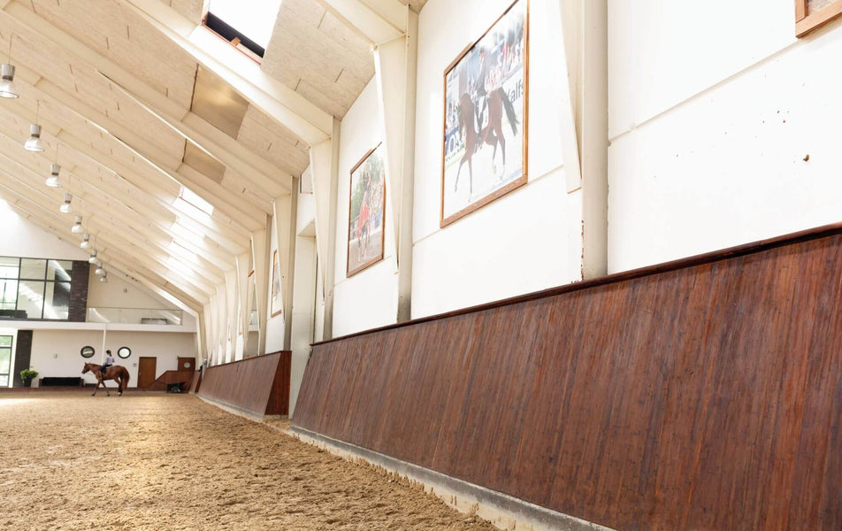 Horse arena with plant-based wood finish on barriers.