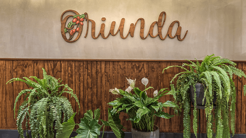 Coffee bar Oriunda logo with green plants in front of it.