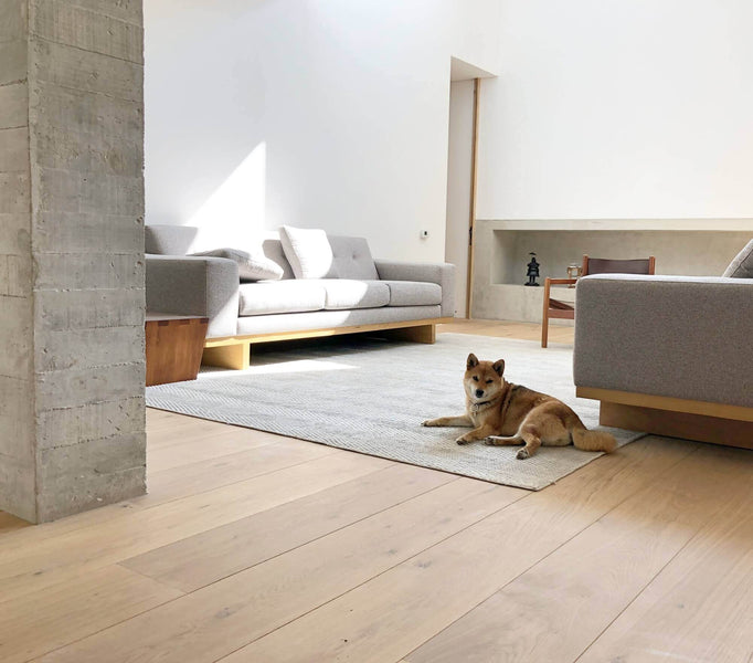 A dog laying on a rug in the middle of a living room with wide plank hardwood floors.