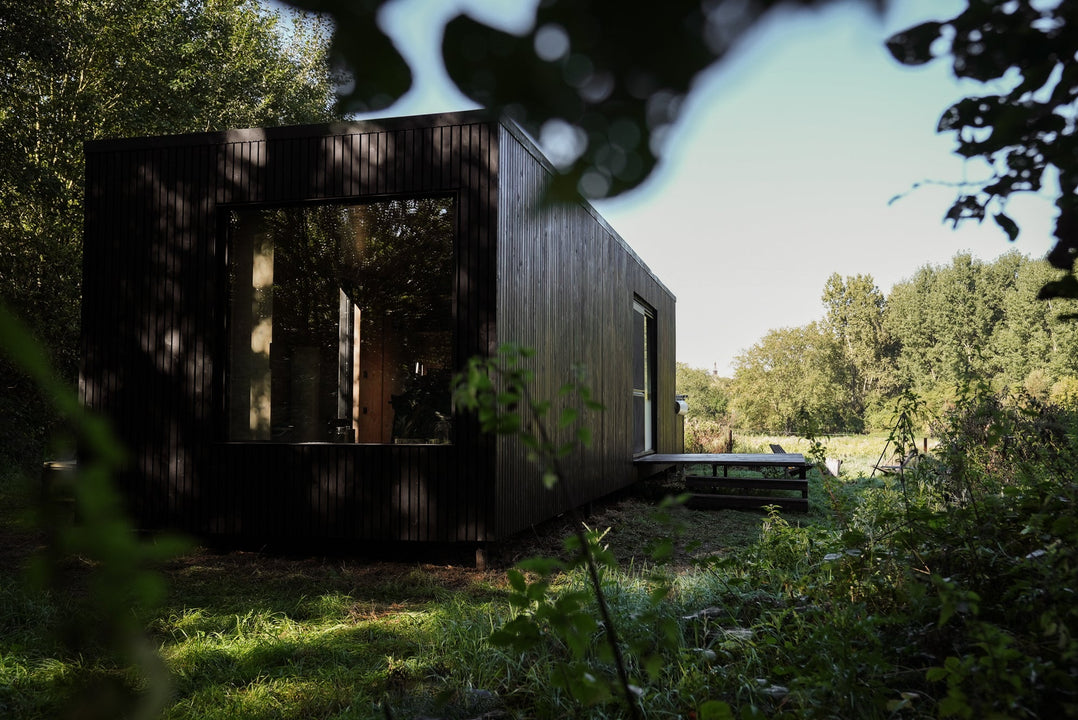 Afternoon shadows are cast around a modern cabin immersed in nature.