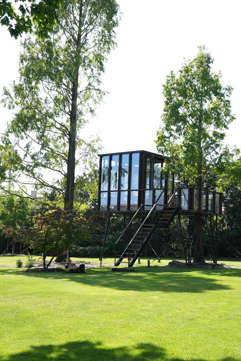 Tree House — 3 of 7
