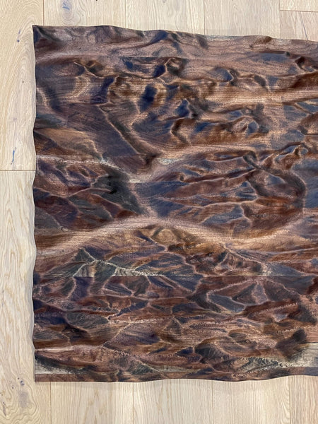 Half of a topographic map of the Canadian Rocky Mountains finished with Oil Plus 2C.