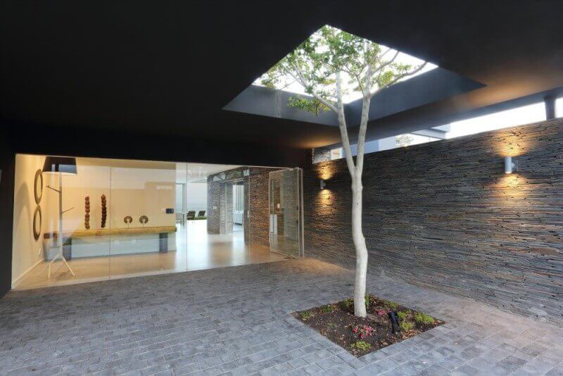 Covered courtyard of a modern home with a glass looking room and tree growing through the roof.